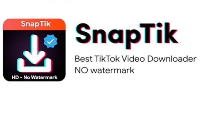 Программное обеспечение для сохранения видео Tiktok без кровавого материала 4: snaptik-1